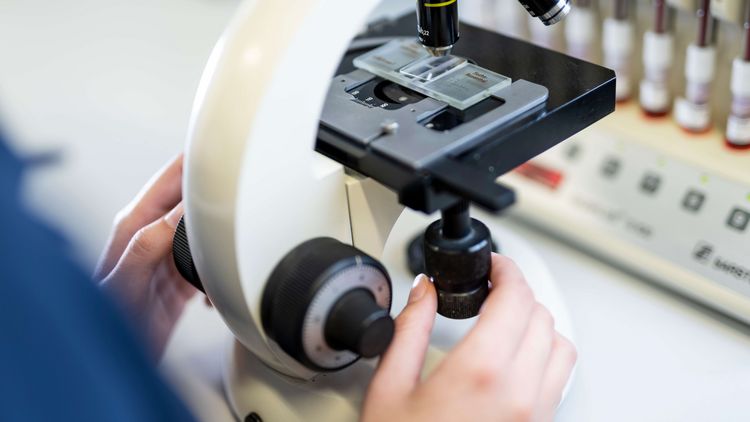Medizinische Fachangestellte untersucht Proben unter dem Mikroskop